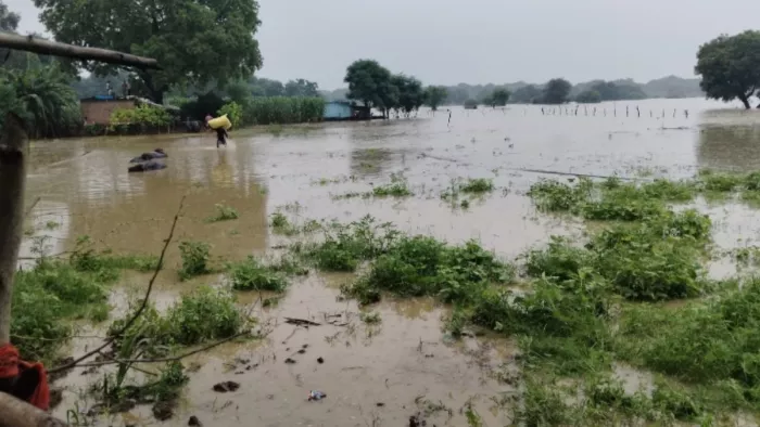 Flood threat in UP villages due to the release of water from Rajasthan! The Utangan River of Agra will be seen as an anger -shape -Rajasthan water release threatens flooded in UP -towns