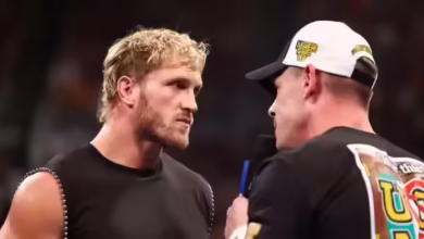 The false story of WWE came out, the same punch was shot twice, the world is happening around the world