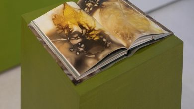 An art exhibition examines the impact of the molons on the spirit, body and soul