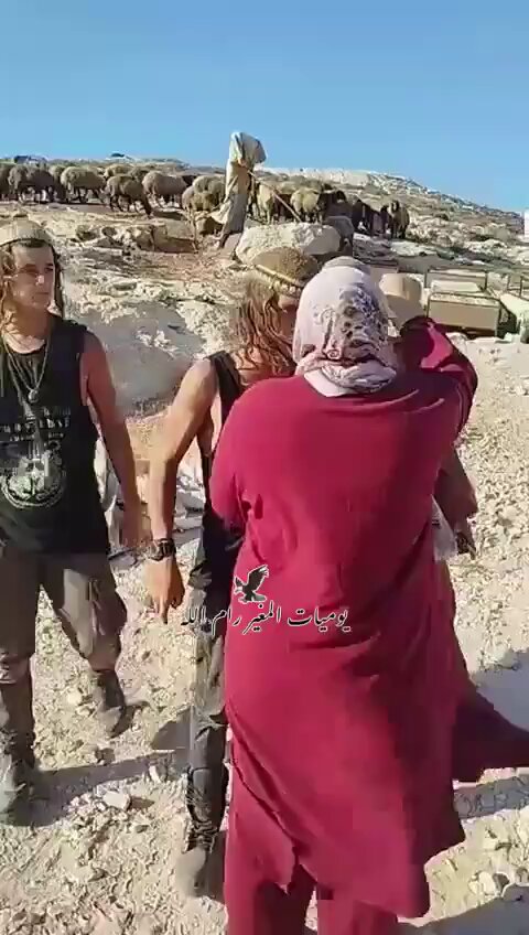 نظرت في عينيه وبصقت بوجهه… سيدات فلسطينيات يواجهن المستوطنين ويستهزئن بهم، خلال اقتحامهم…