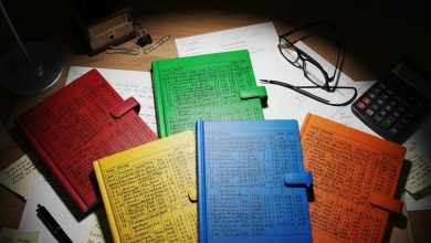 Black accounts in five colorful diaries! ‘S vinod kumar rai’s house eou’s red