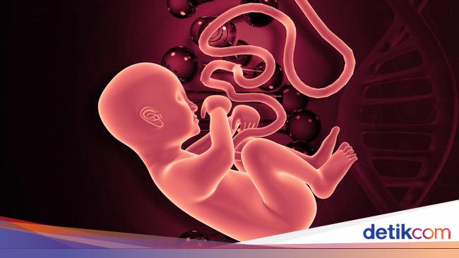 The woman in Mataram pretended to find the baby’s fetus, apparently her biological mother