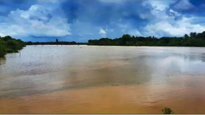 Odisha flood: Two months the Swarnarekha River flooded 6 times, grown crisis before farmers -Subarnarekha -River flooding ruined farmers -fields in Khordha