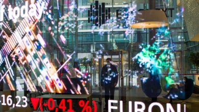 The euro ignores the effects of the France crisis and the options contracts show the optimism of investors