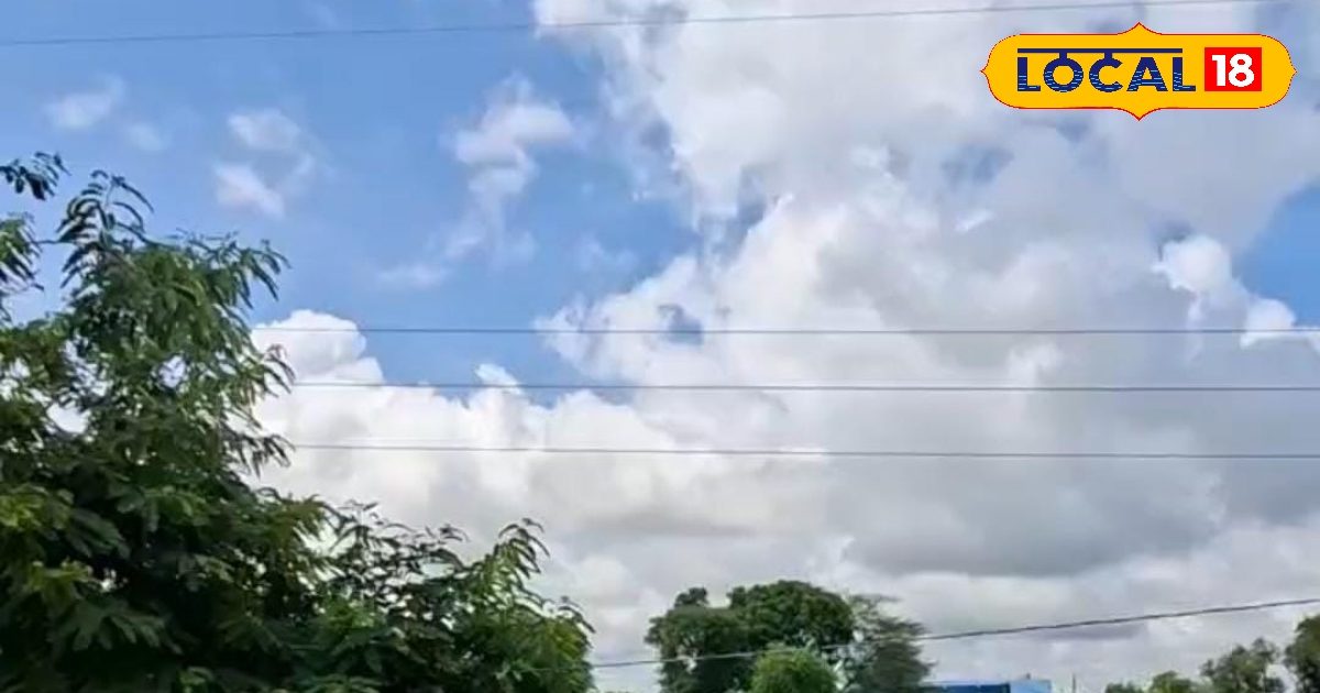 जयपुर में बारिश से राहत, धौलपुर पानी-पानी; झालावाड़ में तेज बहाव में बहा युवक