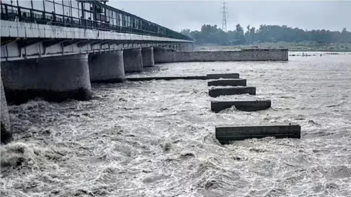 Heavy rain continues in Himachal Punjab, Bhakra and Pong Dam Gates opened; Flooding hazard in Beas and Sutlej – Due to the rain in Himachal Pradesh, the water level of Bhakra and Pong Dams in Punjab deals with the danger mark