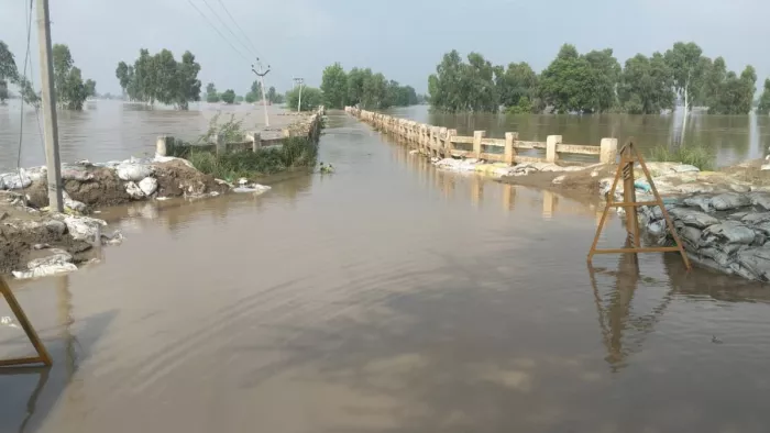 Punjab -flood: The water level of the Sutlej River in Fazilka exacerbates the situation, the water flowing on the Kawali bridge -Punjab -flood situation has worsened as a result of the rising water level of the Satluj River in Fazilka water in Fazilka wat