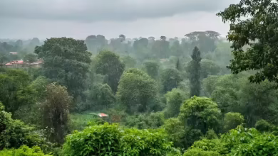 Rain failure, humidity and heat have increased problems in UP, which is expected to change the weather from 30 August