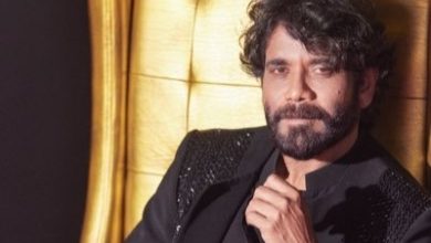 8 Movies of Nagarjuna, which made a boom!