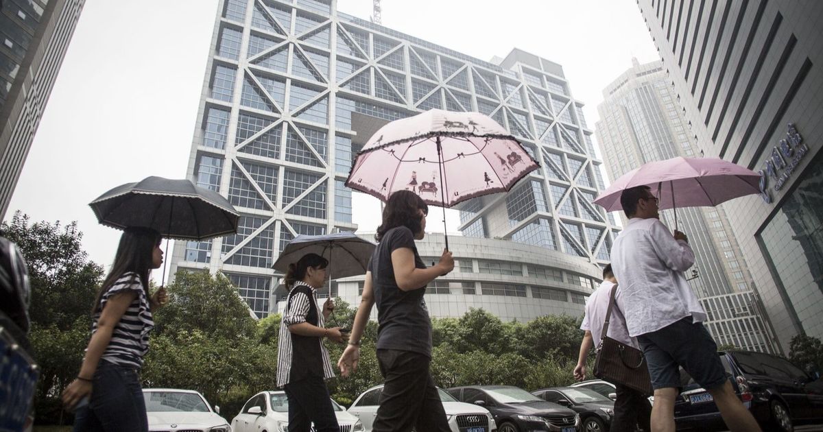 Chinese stocks expand their profits amid a focus on the results of businesses