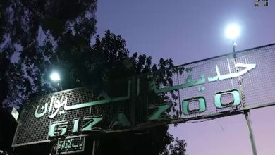 أول احتفالية ليلية في منطقة الجبلاية بحديقة الحيوان بحضور أمين عام الاتحاد الإفريقي لحدائق الحيوان