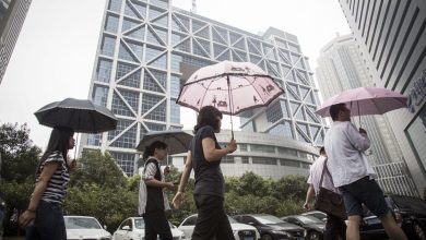 The Chinese “Cambron” chips warn the traders after the shares are up to 134%