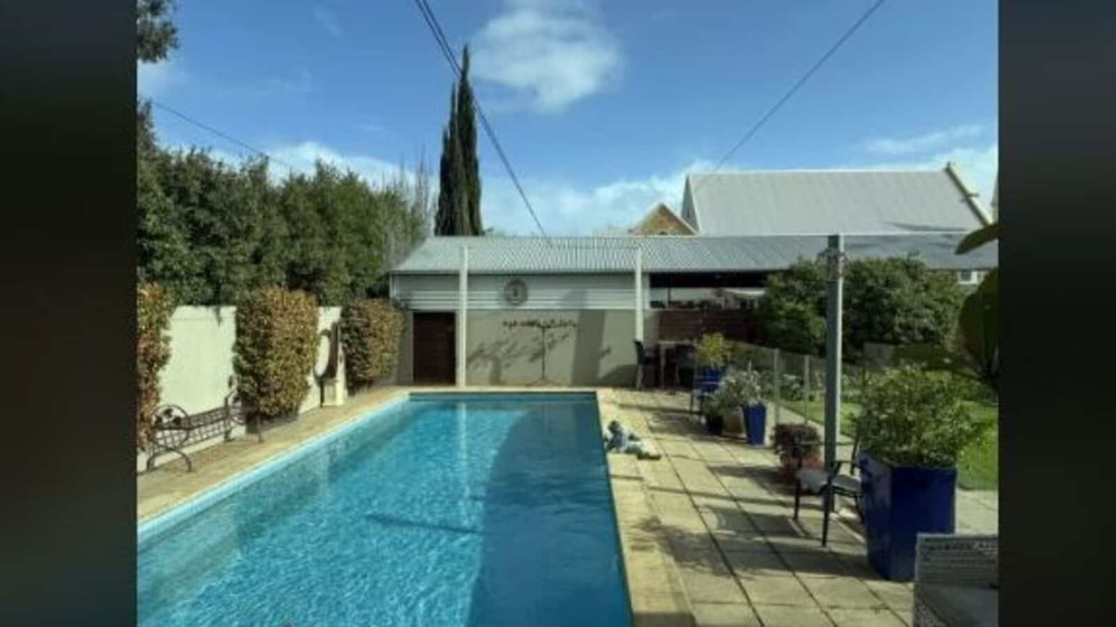 Optical illusion: Find the two sneaking cats in this pool portray in the backyard
