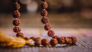 Don’t get the whole result, even after wearing Ruddraksha, you can be the reason for your little mistakes, all know here