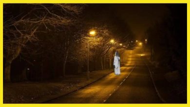Rajasthan’s most scary and haunting highway where the Panchayat or Ghosts occur at night, people are heard terrible voices