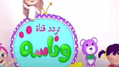 The frequency of the 2025 channel for children is the most beautiful songs and ideas that give up the joy of your children – ryan