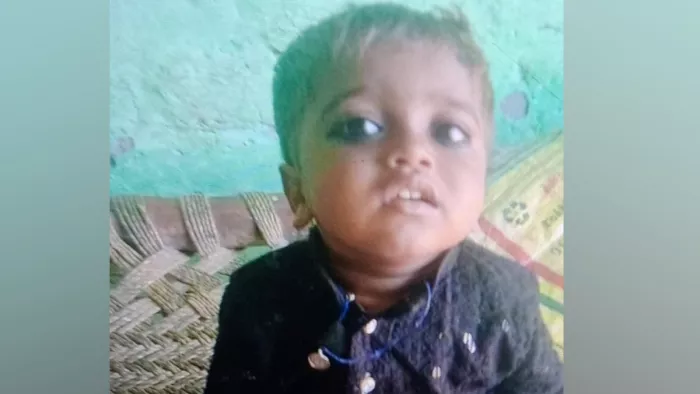 Hathras News: Mother slept in the room … two years innocent in a bucket full of water playing while playing, there was chaos – tragic accident 2 -year -old dies after falling into the bucket