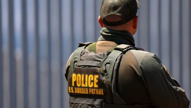 IMMIGRATION AGENTS ARRENT Firefighters Combating Wildfire – ryan