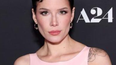 halsey-stops-concert-to-save-videographer-from-getting-burned-by-pyrotechnics