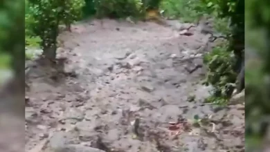 Ramban CloudBurst: Wounded by Cloudburst in Ramban, three dead; 5 Missing – Ramban Cloudburst causes destruction in Ramban much is much dead. A lot of missing flash flow heavy rain