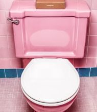 Not everyone has a toilet facility in these countries today