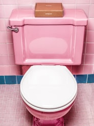 Not everyone has a toilet facility in these countries today