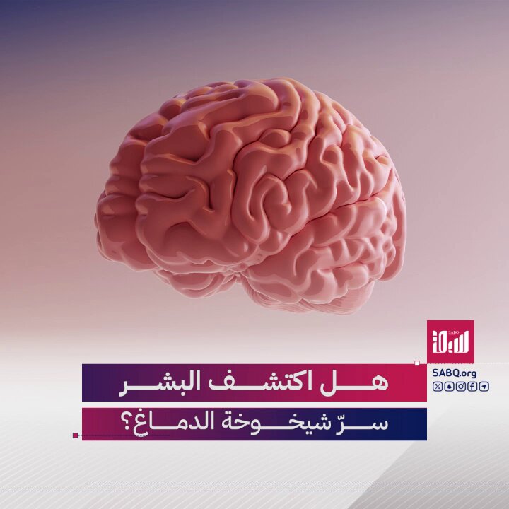 اكتشاف البروتين المسئول عن شيخوخة الدماغ