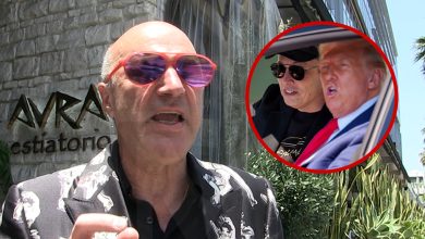 kevin-o’leary-says-trump-&-musk-be-pleased-to-kiss-and-designate-up-for-the-usa’s-sake