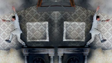 figaro-marriage:-motsart-comedy-opera-at-the-opera-and-ballet-home-sng-in-liopulliana