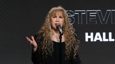 where-does-stevie-nicks-stay?-unpacking-the-musician’s-dreamy-true-estate-portfolio