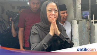 Mrs. Maharani is sorry: we will hear the pursuit of the people