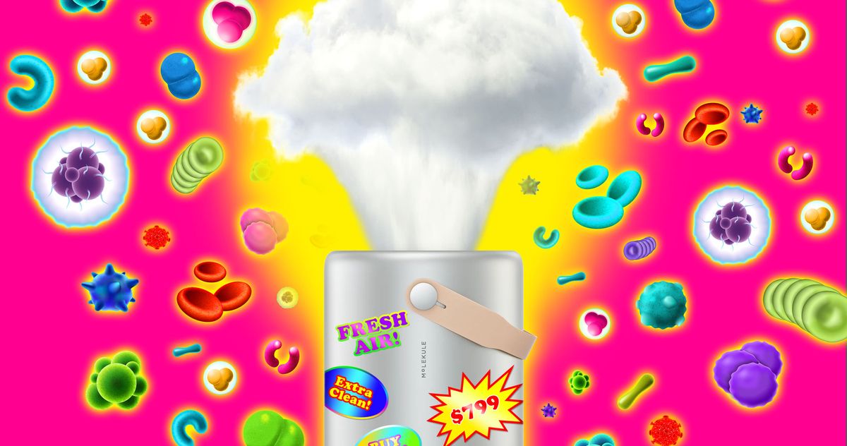 molekule-air-purifiers-and-the-hurry-to-promote-easy-air