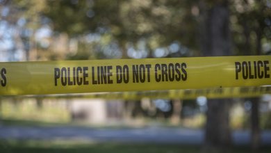 Boy, 11, Shot in North Lawndale – ryan