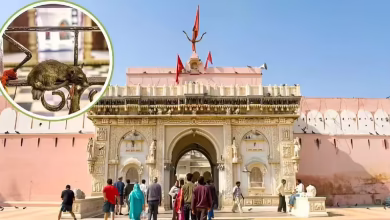 Historical importance of the Karni Mata Temple, knows in the video, knows how this place became familiar with the worship of mice in Bikaner, Rajasthan
