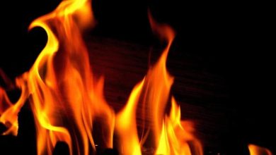 Principal has suspended about the death of a student in the school in Patna, and departmental investigation began