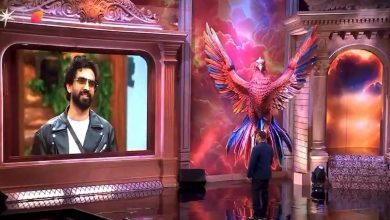 Bigg Boss 19 Weekend Ka Sake: Salman Khan brings a surprise gas for Amal Mallike