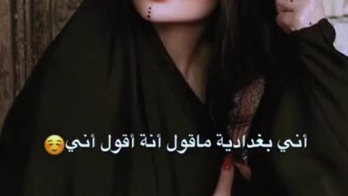 @iraqia474-…