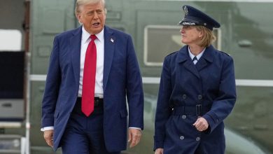 trump-directs-ice-to-expand-deportations-in-chicago,-other-democratic-poke-cities