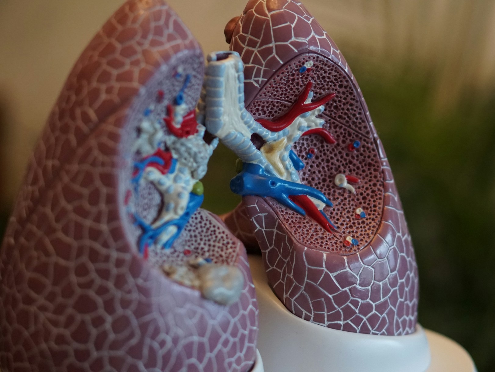 The body gestures like fatty liver!