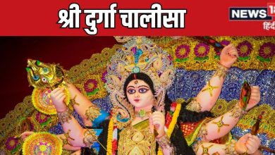 Durga Chalisa Lyrics in Hindi: Do Shri Durga Chalisa Lessons Every day all sad will remove hunting damba bhavani