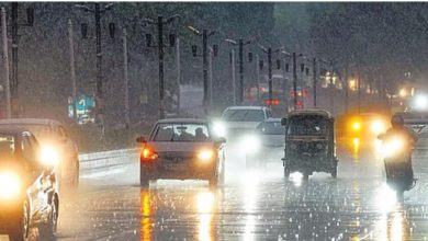Delhi: 163 Clean Air Day in 2025, August 100% ‘Clean Air’ month