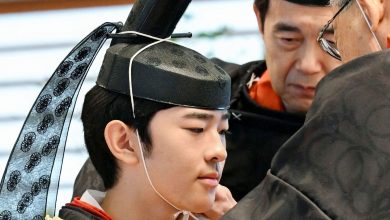 Prince Hisahito becomes the first male heir in 40 years to reach adulthood in Japan