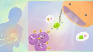 Creating a therapeutic tool that can help the body make the body of harmful cells