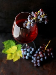10 Countries, where every festival has a wine!