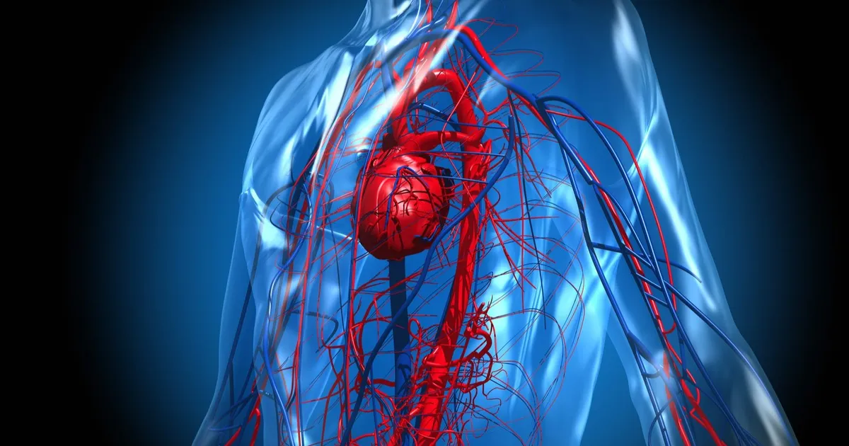 Discover a better remedy than aspirin to prevent heart attacks and strokes