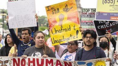 Matteton Man Charged for Impersonating Police During Anti-Ice Protest in The Loop – ryan