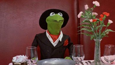 the-muppets-train-their-broadway-debut