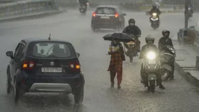 Rainfall continues in Rajasthan, with the meteorological department released warning for these districts – Rajasthan Rains Red Alert has issued floods and casualties reported
