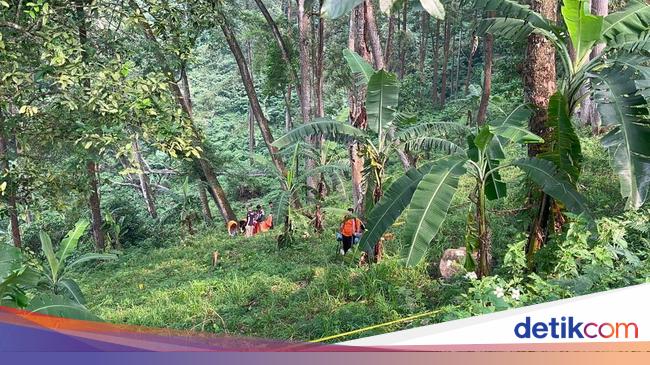 Looking for grass, residents of Mojokerto find sockets and human flesh
