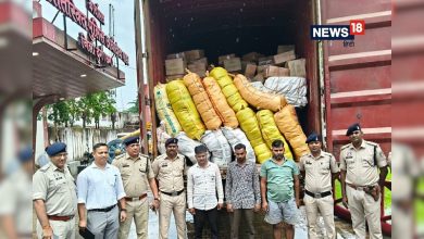 Smuggling in movie style, 60 lakh cannabis found in container, 3 arrest